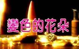 变色的花朵先锋影音