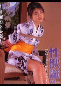 观月里美先锋影音