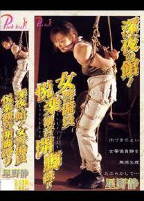 星野静先锋影音
