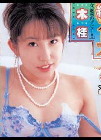 青木桂先锋影音