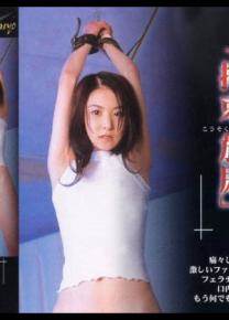 柳小夜先锋影音