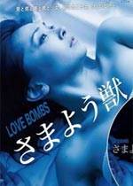 �������|��Ұ����ȷ�Ӱ��