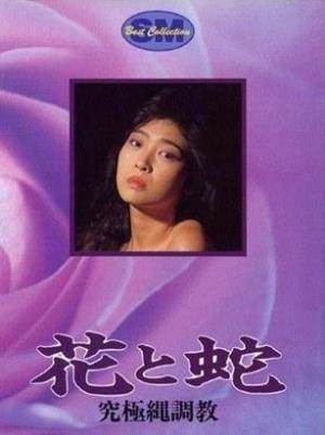花与蛇4究极绳调教先锋影音