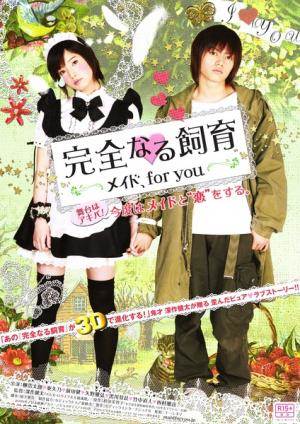 禁室培欲7:专属女仆先锋影音