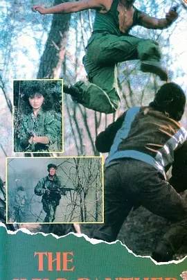 野豹先锋影音