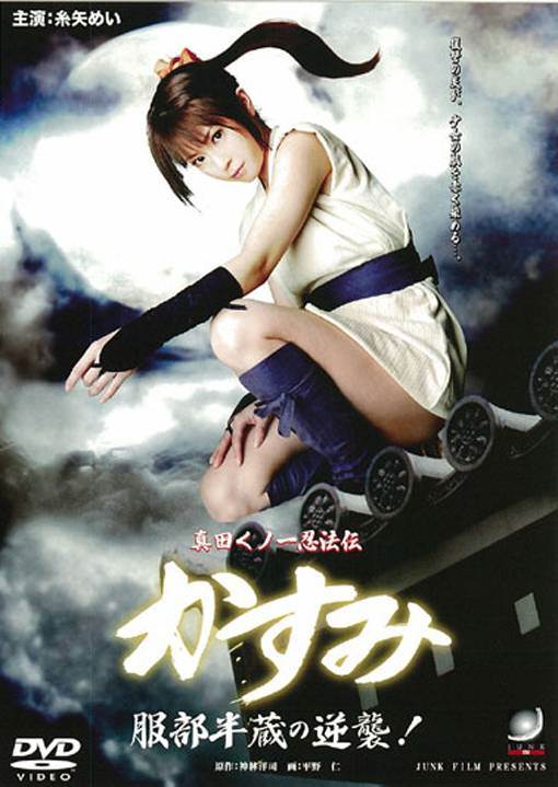 真田女忍法传之服部半藏的逆袭先锋影音