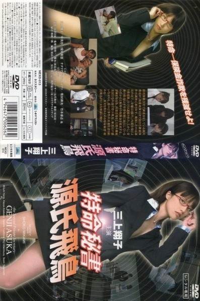 特命秘书 源氏飞鸟先锋影音