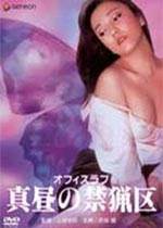 真昼の禁猟区/办公室恋情:紧闭的门背后先锋影音