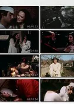 性伯雷的故事先锋影音