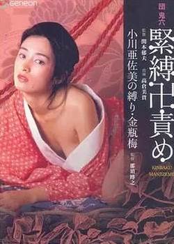 团鬼六 薔薇地狱先锋影音