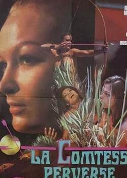堕落的伯爵夫人先锋影音