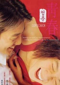 青春2000完整版先锋影音