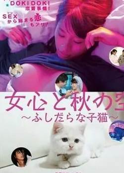 女心と秋の空 ふしだらな子猫先锋影音