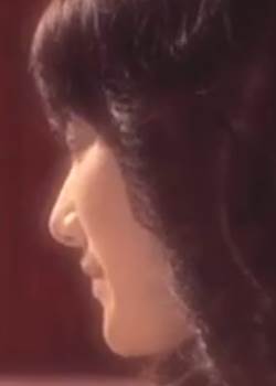 鱦ƪ2-ȷӰ