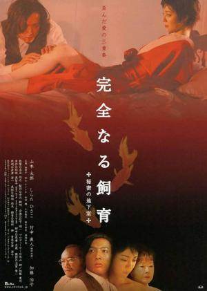 完全饲育5:女理发师之恋先锋影音