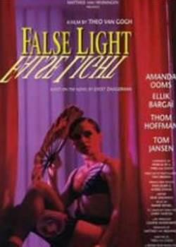 错误指控1993先锋影音