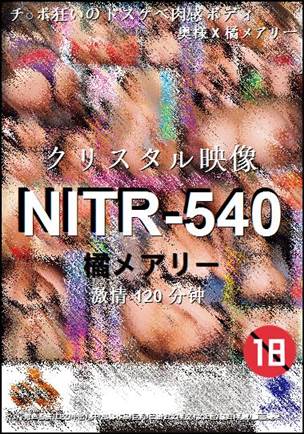 NITR-540种子