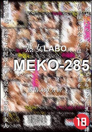 MEKO-285