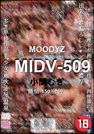 MIDV-509种子