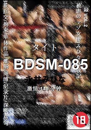BDSM-085种子