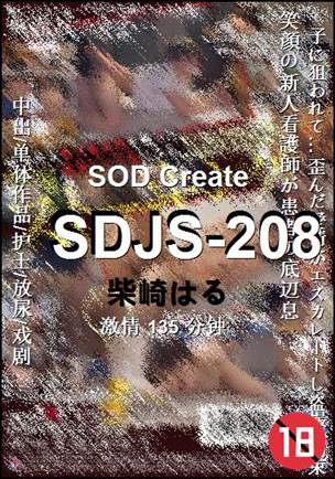 SDJS-208种子