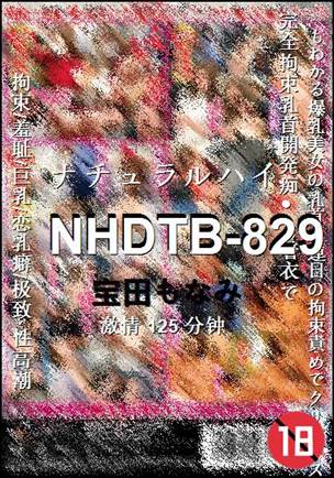 NHDTB-829