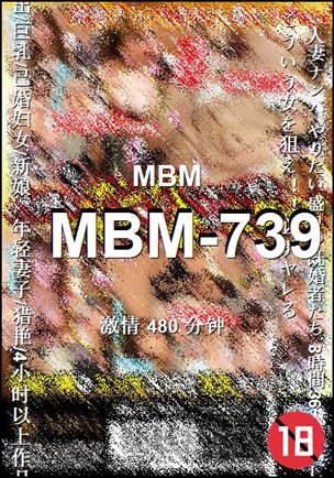 MBM-739