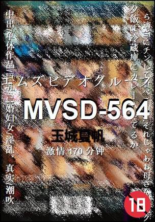 MVSD-564种子