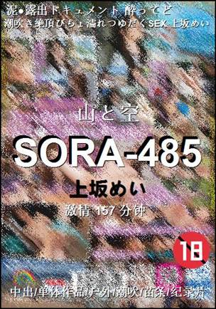 SORA-485种子