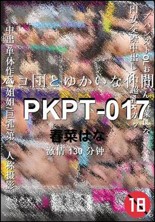 PKPT-017种子