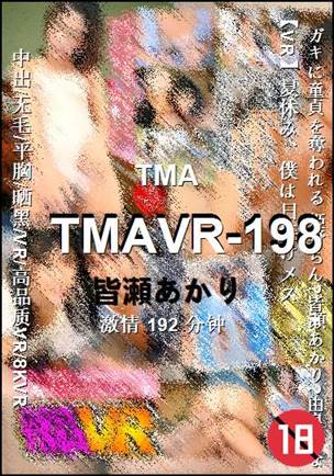TMAVR-198种子