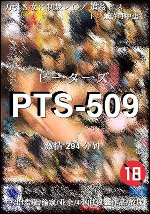 PTS-509