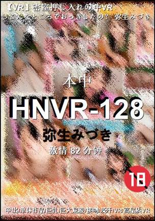 HNVR-128种子