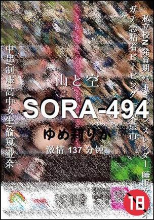 SORA-494种子