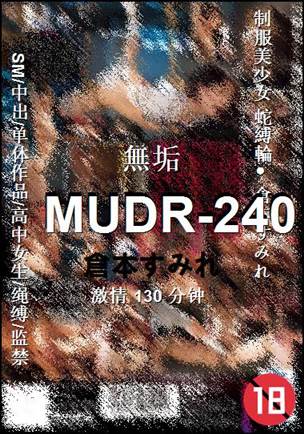 MUDR-240种子