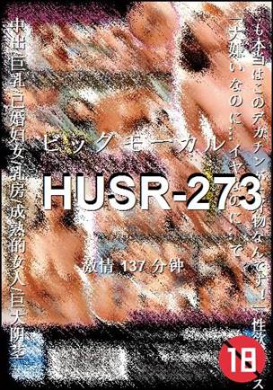 HUSR-273