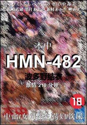 HMN-482种子