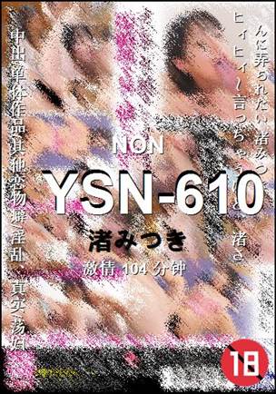 YSN-610种子
