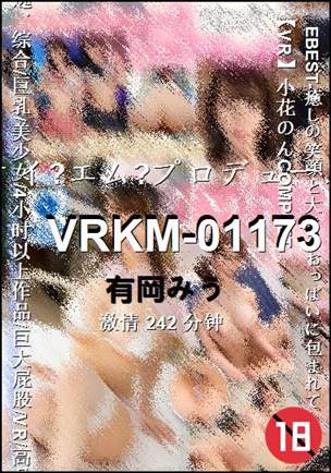 VRKM-01173