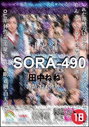 SORA-490