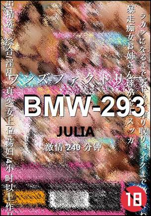 BMW-293种子