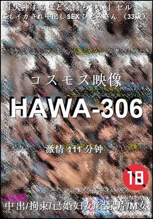 HAWA-306
