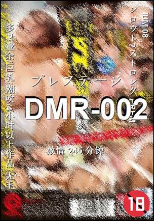 DMR-002����