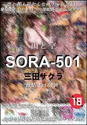 SORA-501