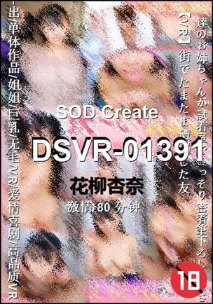 DSVR-01391����