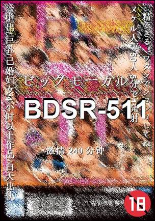 BDSR-511种子