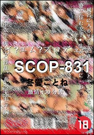 SCOP-831种子