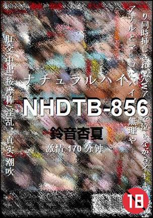 NHDTB-856����