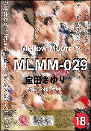 MLMM-029