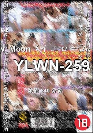 YLWN-259种子